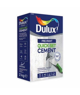 Dulux Pre-Paint Quick set Cement 2 kg