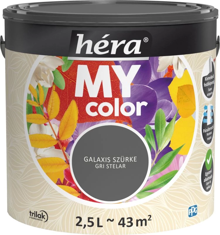 HÉRA My Color Galaxis szürke 2,5 l